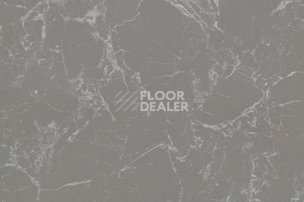 Линолеум FORBO Eternal Material 13322 grey marble фото 1 | FLOORDEALER